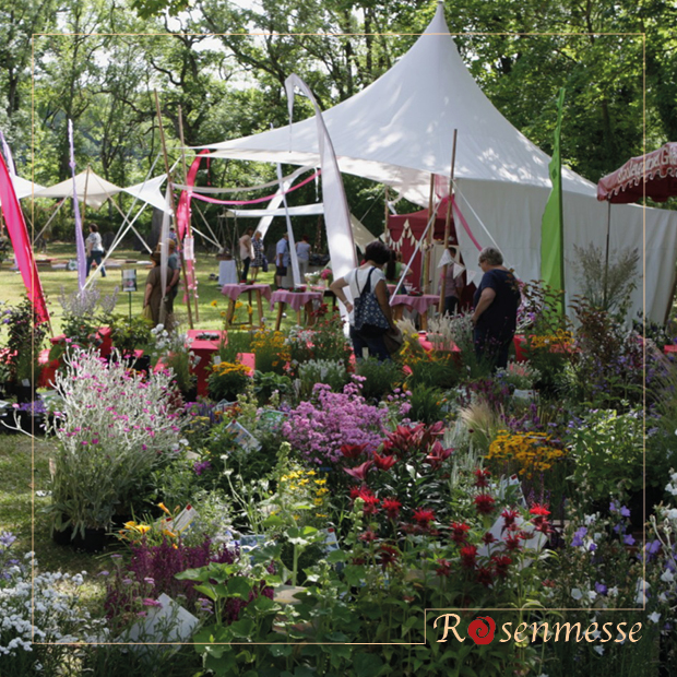 Bilder der Rosenmesse in Königsberg